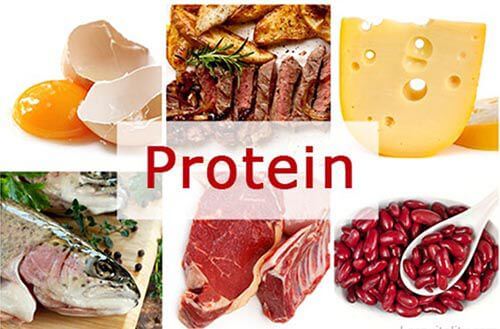 Thức ăn giàu protein